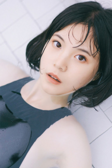 畅网查询